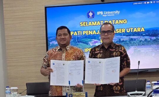 WhatsApp Image 2025-06-10 at 14.58.43