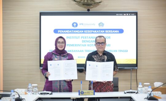 WhatsApp Image 2025-06-13 at 17.40.35