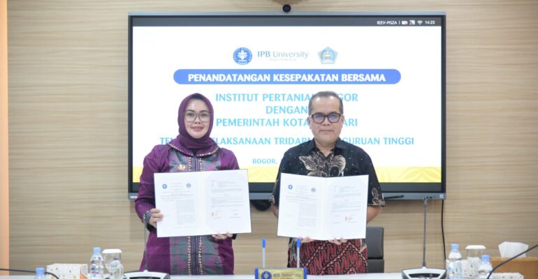 WhatsApp Image 2025-06-13 at 17.40.35