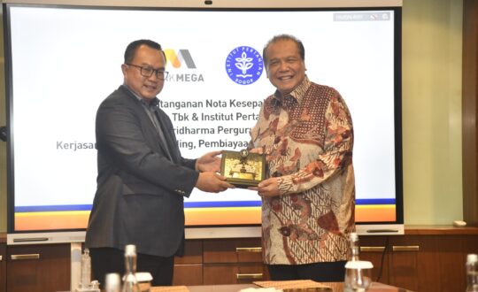 WhatsApp Image 2025-07-04 at 16.28.05